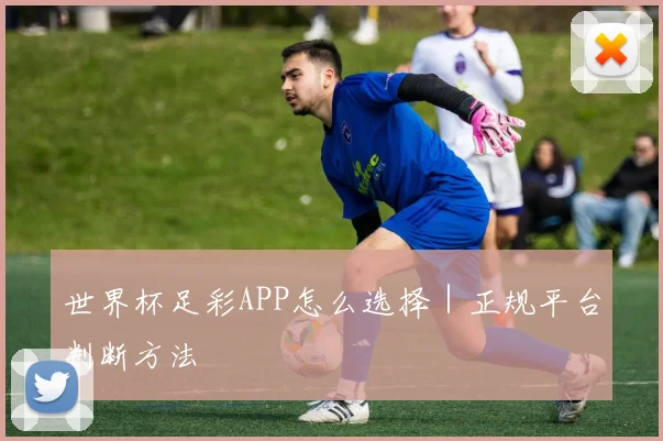 世界杯足彩APP怎么选择｜正规平台判断方法