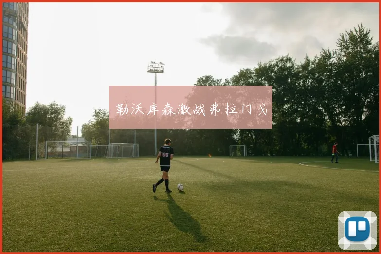 勒沃库森激战弗拉门戈