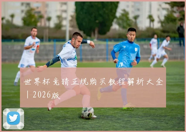 世界杯竞猜正规购买教程解析大全｜2026版