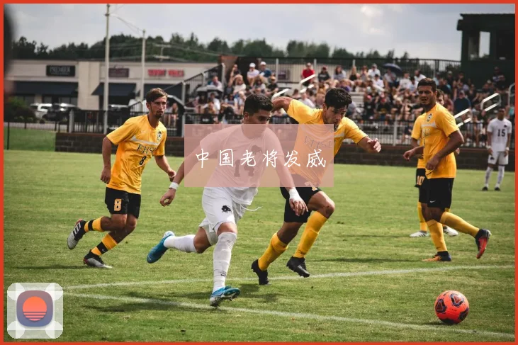 中国老将发威