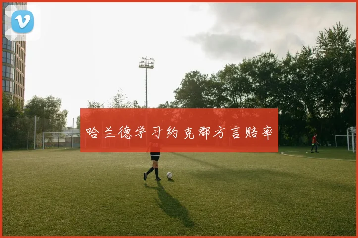 哈兰德学习约克郡方言赔率